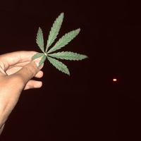 Сако Нұрмахан